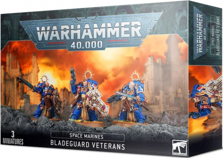 Warhammer 40K Space Marines - Bladeguard Veterans