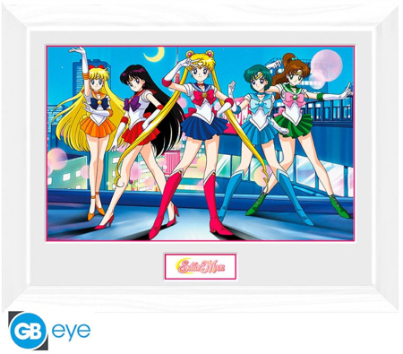 Sailor Moon Group Framed Print (30*40cm)