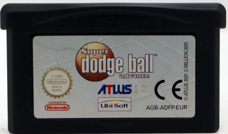 Super Dodge Ball Advance