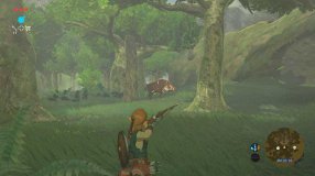 Screenshot på The Legend of Zelda Breath of the Wild