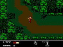 Screenshot på Snakes Revenge (inkl. Skyddsbox & Bergsala)