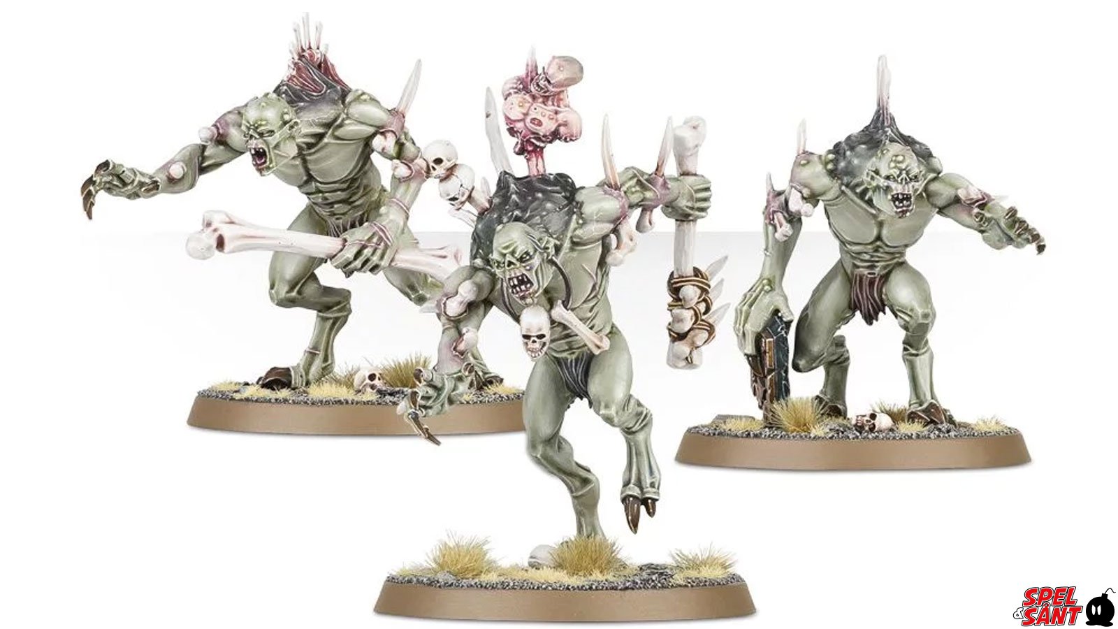 Warhammer Age of Sigmar Start Collecting FleshEater Courts Spel & Sånt The video game store