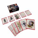 Screenshot på Dungeons & Dragons Monster Cards Monsters Challenge 6-16