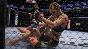 Screenshot på UFC 4