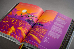 Screenshot på SNES/Super Famicom - a Visual Compendium (Inbunden)