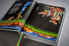 Screenshot på SNES/Super Famicom - a Visual Compendium (Inbunden)