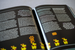 Screenshot på Atari 2600/7800 - a Visual Compendium (Inbunden)