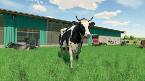 Screenshot på Farming Simulator 22