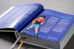 Screenshot på NES/Famicom - A Visual Compendium (Inbunden)