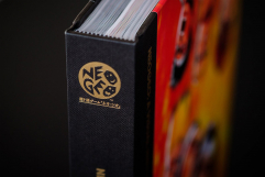 Screenshot på NEOGEO A Visual History (Inbunden)