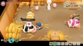 Screenshot på Story of Seasons Friends of Mineral Town