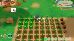 Screenshot på Story of Seasons Friends of Mineral Town