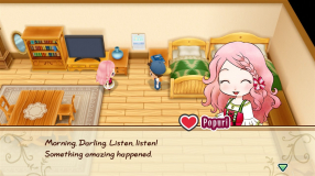 Screenshot på Story of Seasons Friends of Mineral Town