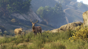 Screenshot på Grand Theft Auto V (5)