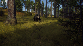 Screenshot på Way of the Hunter