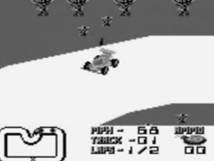 Screenshot på Super R.C Pro Am