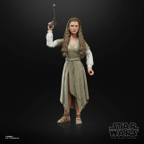 Screenshot på Star Wars The Black Series Princess Leia (Ewok Village) Figure
