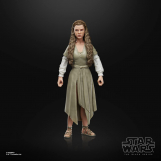Screenshot på Star Wars The Black Series Princess Leia (Ewok Village) Figure