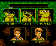 Screenshot på Battletoads & Double Dragon