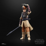 Screenshot på Star Wars The Black Series Archive - Princess Leia Organa (Boushh)