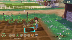 Screenshot på Story of Seasons - A Wonderful Life Limited Edition