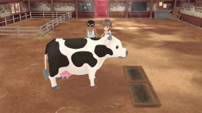 Screenshot på Story of Seasons - A Wonderful Life Limited Edition