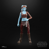 Screenshot på Star Wars The Black Series Aayla Secura Figure