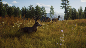 Screenshot på Way of the Hunter