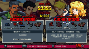 Screenshot på Double Dragon Gaiden - Rise of the Dragons