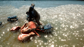 Screenshot på Skull Island Rise of Kong