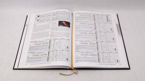 Screenshot på Elden Ring Books of Knowledge Volume II(2): Shards of the Shattering (Fraktskadade)