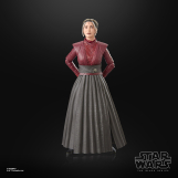 Screenshot på Star Wars The Black Series Morgan Elsbeth Figure
