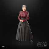 Screenshot på Star Wars The Black Series Morgan Elsbeth Figure