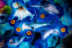 Screenshot på Aqua Biodiversity in the Oceans
