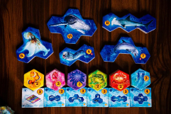 Screenshot på Aqua Biodiversity in the Oceans