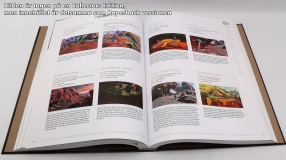 Screenshot på The Legend of Zelda Tears of the Kingdom The Complete Official Guide (Paperback)