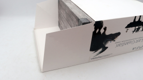 Screenshot på The Last Guardian Collectors Edition