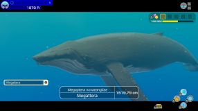 Screenshot på Endless Ocean Luminous