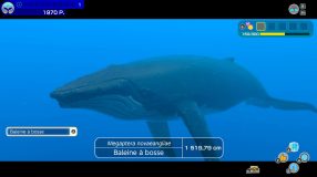 Screenshot på Endless Ocean Luminous