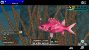 Screenshot på Endless Ocean Luminous