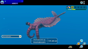 Screenshot på Endless Ocean Luminous