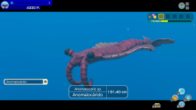 Screenshot på Endless Ocean Luminous