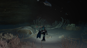 Screenshot på Endless Ocean Luminous