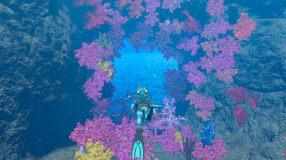 Screenshot på Endless Ocean Luminous