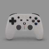 Screenshot på RetroFighters Defender 2.4GHz Wireless Controller Grey