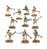 Screenshot på Warhammer 40K Tau Empire - Kroot Carnivores