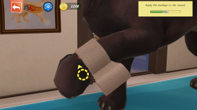 Screenshot på Animal Hospital