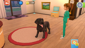 Screenshot på Animal Hospital