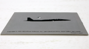 Screenshot på F-15 Strike Eagle (inkl. Skyddsbox & Bergsala)