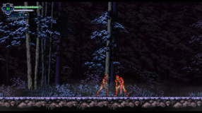 Screenshot på Chronicles of the Wolf